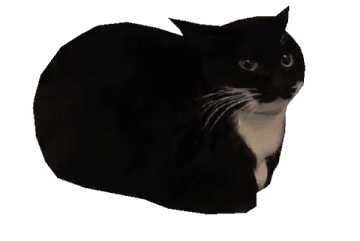 slowly rotating 3d model of the maxwell cat. the model is lowpoly and has a realy photo of the cat used as the texture. the cat is loafing with its limbs tucked in. the cat is mostly black, with just a large patch of white running from its mouth to its chest